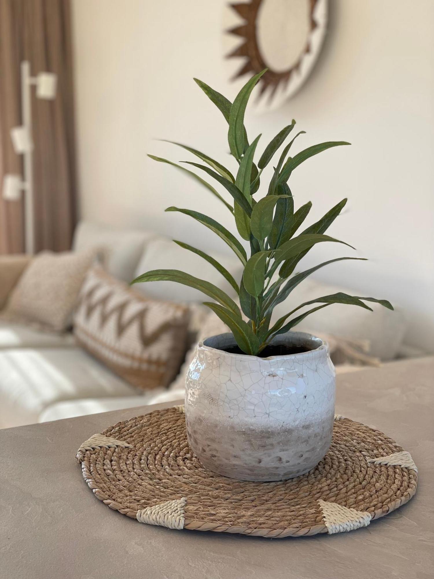 Appartementen Sonnenhof De Koog  Εξωτερικό φωτογραφία
